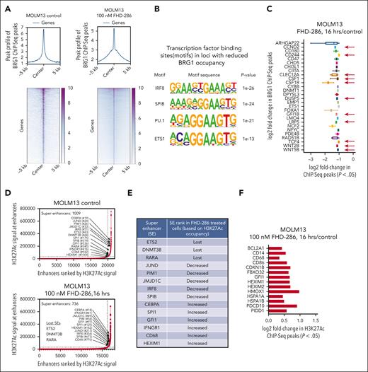 Treatment with FHD-286 depletes BRG1 occupancy on chromatin while increasing H3K27Ac occupancy on loci involved in differentiation and loss of cell viability. (A) MOLM13 cells were treated with 100 nM of FHD-286 for 16 hours. ChIP-Seq analysis was conducted with anti-BRG1 antibody. Panel shows the genome-wide peak profile and heat map of BRG1 binding at peak center ± 5 kb resolution. (B) Transcription factor binding motifs in loci with reduced BRG1 occupancy. The motif name, canonical binding motif, and the P value are shown. (C) Log2 fold decline of BRG1 binding at selected AML relevant loci in MOLM13 treated with 100 nM of FHD-286 for 16 hours. (D-E) MOLM13 cells were treated with 100 nM of FHD-286 for 16 hours. ChIP-Seq analysis was conducted with anti-H3K27Ac antibody and ranked ordering of superenhancer (ROSE) analysis was performed. (F) MOLM13 cells were treated with 100 nM of FHD-286 for 16 hours. ChIP-Seq analysis was conducted with anti-H3K27Ac antibody. Panel shows the log2 fold-increase in H3K27Ac occupancy on loci involved in differentiation and loss of viability in MOLM13 cells.