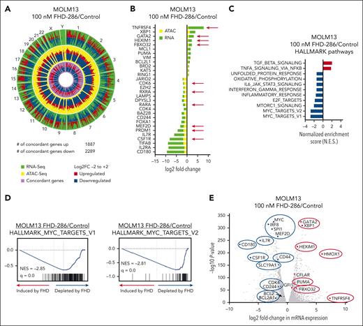 Treatment with FHD-286 concordantly alters chromatin accessibility and mRNA expression in MLL1-rearranged AML cells with reduction in the enrichment scores for MYC, mTORC1, E2F, interferon gamma, IL6-JAK-STAT3, as well as of inflammatory response and oxidative phosphorylation gene sets. (A-B) MOLM13 cells were treated with 100 nM of FHD-286 for 16 hours as biologic replicates. Bulk nuclei were isolated for ATAC-Seq analysis and total RNA was isolated and used for RNA-Seq analysis. RNAs and diffReps-determined ATAC-Seq peaks with ≥1.25-fold change and P value <.05 were used for the concordance analysis. Circos plot (A) and log2 fold-changes (B) of selected, concordant ATAC-Seq, and mRNA expression alterations in FHD-286–treated MOLM13 cells. (C) Gene set enrichment analysis of FHD-286–treated MOLM13 cells compared with HALLMARK pathways. Normalized enrichment scores are shown. All q-values are <0.1. (D) Enrichment plot of FHD-286–treated MOLM13 cells compared with HALLMARK_MYC_TARGETS_V1 and HALLMARK_MYC_TARGETS_V2. (E) Volcano plot (log2 fold change vs −log10 P value) of RNA-Seq determined mRNA expression changes in FHD-286–treated MOLM13 cells.