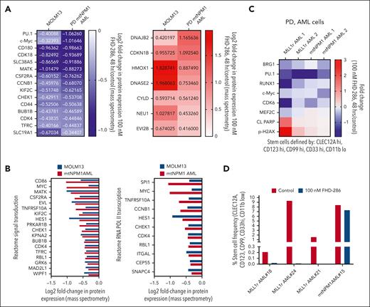 Treatment with FHD-286 significantly depleted c-Myc and PU.1 expression in bulk AML cells and phenotypically defined AML stem cells with MLL1r or mtNPM1. (A) MOLM13 and PD mtNPM1 expressing AML cells were treated with 100 nM of FHD-286 for 48 hours. Total proteome profiling was conducted by mass spectrometry analysis. The heat map shows selected overlapping depleted and induced protein expressions with a fold change >1.25 and a P value <.05. (B) Log2 fold decline in protein expressions in FHD-286–treated MOLM13 and PD mtNPM1-expressing AML cells compared with REACTOME_SIGNAL_TRANSDUCTION and REACTOME_RNA_POLII_TRANSCRIPTION pathways. (C) PD MLL1r and mtNPM1 AML cells were treated with 100 nM of FHD-286 for 48 hours. CyTOF analyses were conducted using cocktails of rare metal element–tagged antibodies. The heat map shows the fold change (FHD-286 treated over control) of depleted and induced proteins in phenotypically defined AML stem/progenitor cells (CLEC12A hi, CD123 hi, CD99 hi, CD33 hi, and CD11b low). (D) Percentage of stem cell frequency of control and FHD-286–treated PD MLL1r and mtNPM1 expressing AML cells.