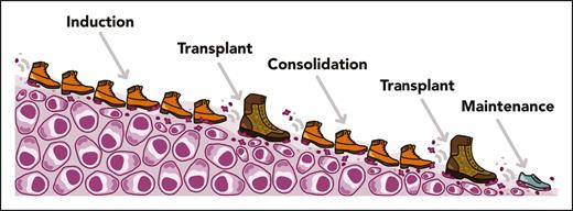The IFM 2018-04 approach to high-risk multiple myeloma. Visual illustration of the IFM 2018-04 trial, including induction with D-KRd and 2 ASCTs. Professional illustration by Somersault18:24.