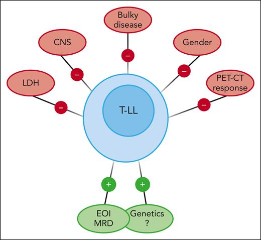 Favorable and unfavorable prognostic factors in children and adolescents with T-LL.