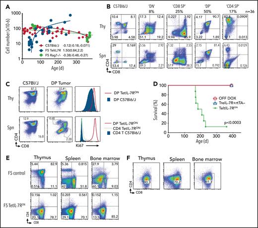 IL-7Rα expression results in progressive thymic hyperplasia and disseminated, fatal T-cell leukemia/lymphoma. (A) Thymus cellularity vs age from wild-type F5 control and F5 TetIL-7RON mice. Numbers indicate slope of line fit and 95% confidence intervals. (B) CD4 vs CD8 expression by thymocytes and splenocytes from TetIL-7RON mice (n = 36). Lymphoma/leukemia present in thymus and spleen, characterized by their expression of CD4 and CD8 into DN, CD8 SP, DP, and CD4 SP. A representative example of each phenotype is shown and the percent incidence of phenotype indicated under the phenotypic label. (C) CD4 vs CD8 expression by thymocytes and splenocytes from TetIL-7RON or control C57Bl6/J mice. Histograms are of Ki67 labeling of thymocytes (top) and splenocytes (bottom) of the indicated subpopulation from either TetIL-7RON or C57Bl6/J control mice. (D) Survival of cohorts of TetIL-7RON (n = 8) vs TetIL-7ROFF (n = 4) and TreIL-7R+ rtTA– Il7r−/− mice (n = 4). Mice were culled when they reached the defined humane end point (see “Methods”). P = .0003. (E) Phenotype in the indicated organs of F5 TetIL-7RON mice identified with clinical signs of disease (tumor), as compared with IL-7RWT F5 control mice (control). Density plots are of CD4 vs CD8 in the thymus, spleen and bone marrow of the indicated conditions. (F) Malignant thymocytes from donor mouse in (E) were transferred into Rag1−/− recipients (n = 8). Four weeks later, thymus, spleen, and bone marrow were analyzed for the presence of donor cells. Shown is pooled data of 2 (D) or 6 (A-B) independent experiments or mean results of 3 (C,E-F) independent experiments.