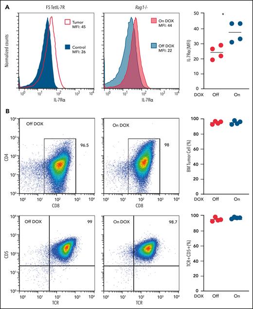 Maintenance of established TetIL-7R tumors no longer appears to require high IL-7Rα expression. (A) IL-7Rα expression was measured in F5 TetIL-7R primary tumor cells (left), and after adoptive transfer into Rag1−/− mice (middle). Mean fluorescence intensity (MFI) of primary tumor cells collected from the thymus of a sick mouse continuously fed dox (tumor) were compared with the DP (CD4+CD8+) cells of an F5 control mouse (used as the negative control; left). Malignant cells collected from the thymus of the same mouse were transplanted into Rag1−/− recipient mice that were fed with (On dox) or not fed (Off dox) dox-containing food for 4 weeks after transplantation (middle). MFI was compared after 4 weeks between On- and Off-dox groups. IL-7Rα MFI for each transplant-recipient animal (right). (B) Transplanted cells collected from the bone marrow of On- and Off-dox recipient mice 4 weeks after transplantation were compared for their immunophenotype. CD4 vs CD8 (top) and CD5 vs TCRαβ (bottom). Frequency of cells within the gate (left) for each transplant recipient. Results are representative of 3 independent experiments (each from a different primary tumor).