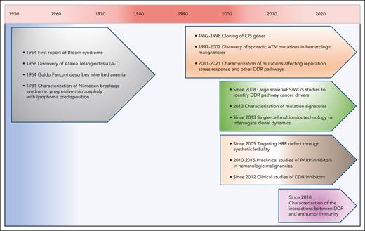 Major developments in our understanding of DDR in hematologic malignancies. Key milestones are shown encompassing the discovery of chromosome instability syndromes and functions of DDR pathway genes, the identification of DDR defects as cancer drivers and the development of therapies to target these defects.