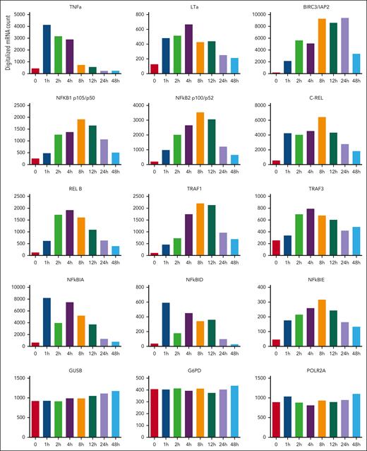 TNF signaling components are induced in vivo in response to anti-CD3 in T-ALL. RNA obtained from leukemic cells (T-ALL case UPNT776) of engrafted mice that were either left untreated, or treated for the indicated time periods (hours) with anti-CD3 OKT3 were analyzed using a Nanostring custom panel of 97 genes comprising 5 housekeeping genes. Histograms show digitalized messenger RNA expression for TNF⍺, LT⍺, BIRC3, NF-κB1, NF-κB2, c-REL, RELB, TRAF1, TRAF3, NF-κBIA, NF-κBID, and NF-κBIE after normalization with Nsolver software. Glucuronidase beta (GUSB), glucose-6-phosphate dehydrogenase (G6PD), and RNA polymerase 2 subunit A (POLR2A) were used as control housekeeping genes.