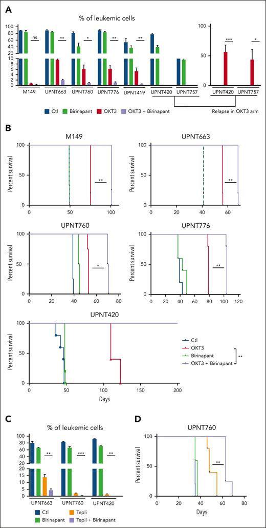 Birinapant synergizes with anti-CD3 to inhibit leukemia expansion. (A) NSG mice infused with 106 leukemic cells from the PDXs derived from the indicated T-ALL cases were monitored for leukemia expansion over time. Once leukemic, mice (n = 4 per group) were treated 6 times with either 4 μg of control IgG2a/carrier solvent (blue), or OKT3/carrier solvent (red), or IgG2a/birinapant (20 mg/kg, green), or OKT3 + birinapant (purple), every 3 to 4 days. In the left part of the panel, leukemic load is measured at the end of treatment. For UPNT420- and 757-derived T-ALL xenografts, mice treated with OKT3/carrier solvent were found to be in remission for 70 (UPNT420) and 110 (UPNT757) days, respectively, after beginning of the treatment but relapsed thereafter. The right part of the panel shows leukemia load at day 102 days (UPNT420) and day 171 (UPNT757), respectively, after beginning of treatment. Note that at these time points, OKT3 + birinapant–treated mice are leukemia free. (B) Kaplan-Meier survival curves of NSG mice transplanted with T-ALL M149, UPNT663, UPNT-760, UPNT776, or UPNT-420 of the cohorts described in panel A. (C) The same experimental protocol was used for PDXs derived from T-ALL UPNT663, UPNT760, and UPNT420 using the clinically relevant anti-CD3 teplizumab. (D) Kaplan-Meier survival curves of NSG mice transplanted with T-ALL UPNT-760 and treated as in panel C. ∗P < 0.05; ∗∗P < 0.01; ∗∗∗P < 0.001.