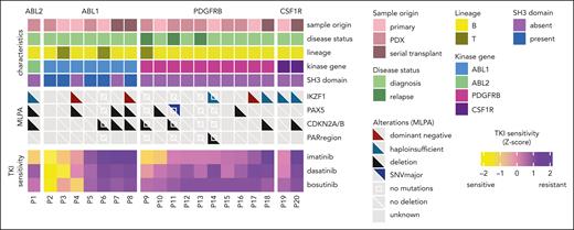 Heat map of patient characteristics and secondary lesions. The primary, primary xenografted, and serial xenografted ALL samples are displayed by the ABL-class tyrosine kinase gene from the most sensitive (left) to the least sensitive (right) based on the area under the dose-response curve (AUC) for imatinib measured using an ex vivo imatinib sensitivity assay. Deletions and other aberrations in leukemia-associated genes, PAX5, IKZF1, CDKNA2A/B, and pseudoautosomal (PAR) regions, based on MLPA assays or whole-exome sequencing are shown. IKZF1 deletions are subdivided into deletions resulting in haploinsufficiency (in dark green, affecting the start codon in exon 2) and deletions that affect the DNA-binding domain, exerting a dominant-negative effect on the unaffected allele (in dark red, deletions of exons 4-7). A white square in the middle denotes no mutations but whole-exome sequencing data available, a diagonal white line denotes no deletions but MLPA data available, and gray squares denote no data available.