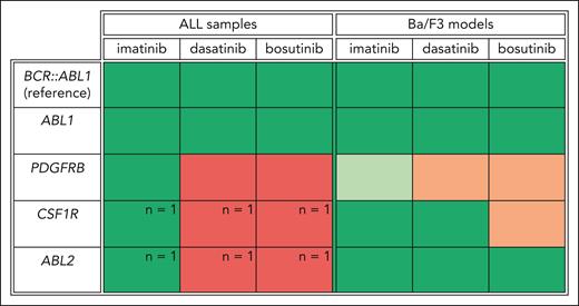 Comprehensive overview of TKI sensitivity based on the involved tyrosine kinase in ALL samples and transduced Ba/F3 models relative to BCR::ABL1-positive cells. For primary or primary xenografted ALL samples, the percentage of ALL samples by tyrosine kinase gene (ABL1, PDGFRB, CSF1R, or ABL2) with an area under the dose-response curve (AUC) above the median AUC of BCR::ABL1-positive ALL samples was calculated for each TKI (imatinib, dasatinib, or bosutinib). Colors were assigned based on the calculated percentages; green means ≤75% of the samples are above the median AUC of BCR::ABL1-positive ALL samples. Red indicates that >75% of the samples are above the median AUC of the BCR::ABL1-positive ALL samples. For CSF1R and ABL2, only 1 ALL sample was included in this study. This is denoted in the figure. For the transduced Ba/F3 models, green indicates that the half-maximal inhibitory concentration (IC50) is below the IC50 of the transduced Ba/F3 model expressing the BCR::ABL1 fusion, orange indicates an IC50 above that of the BCR::ABL1 Ba/F3 model, and light green indicates a >10-fold lower IC50 than that of the BCR::ABL1 Ba/F3 model.