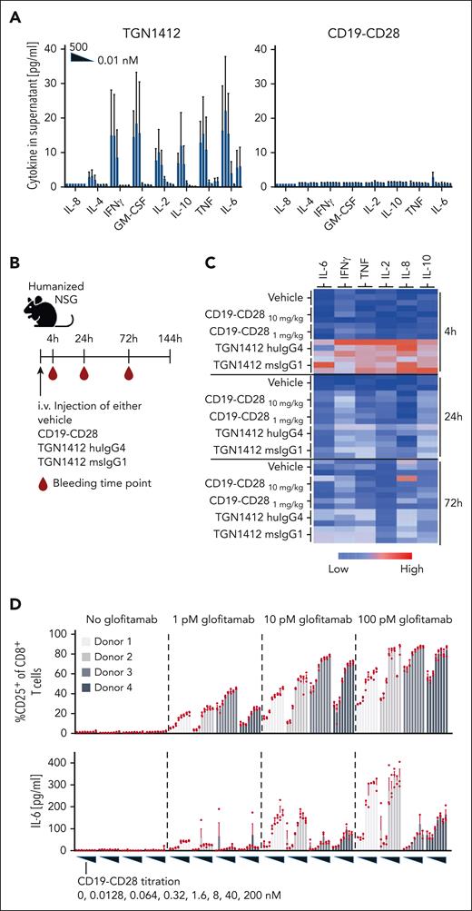 CD19-CD28 is not superagonistic and relies on signal 1. (A) Activity of human PBMCs in response to TGN1412 and CD19-CD28. PBMCs isolated from buffy coats of 3 donors were stimulated with TGN1412 or CD19-CD28 (dose titration, 0-500 nM) and cytokine release was analyzed after 48 hours via multiplex analysis. Bars show mean + SEM of technical triplicates from 3 donors. (B) Experimental design of in vivo cytokine release evaluation. Non–tumor bearing humanized NSG mice (3 mice per group) were treated IV with vehicle (histidine buffer), CD19-CD28 (10 or 1 mg/kg), TGN1412 huIgG4 (10 mg/kg), or TGN1412 msIgG1 (10 mg/kg). (C) Multiplex analysis of serum cytokines at indicated time points after treatment. The absolute cytokine values are shown in supplemental Table 1. (D) Human PBMCs from 4 healthy donors were stimulated with glofitamab (0, 1, 10, or 100 pM) and increasing concentrations of CD19-CD28 (0-200 nM). Upper row, the percentage of CD25 expression on CD8+ T cells was analyzed by flow cytometry after 72 hours. Bars show mean + SEM of technical triplicates for each donor. Dots show individual values. Lower row, multiplex analysis of IL-6 in culture supernatants after 48 hours. Bars show mean + SEM of technical triplicates. Dots show individual values. The shades of gray correspond to different donors, with each donor consistently represented by the same shade across all treatment conditions.