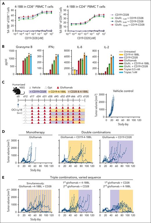 Triple combination of glofitamab with CD19-CD28 and CD19–4-1BBL deepens and prolongs antitumor responses in vivo. (A) PBMC-derived T cells from a healthy donor were stimulated with glofitamab and a dose titration of CD19-CD28. Graphs show 4-1BB expression of CD4+ and CD8+ T cells after 48 hours, assessed via flow cytometry. Shown are mean + SEM of technical triplicates. (B) Cytokine release of splenocytes derived from a patient with BCL after 72 hours of stimulation with 25 pM glofitamab and/or CD19-CD28 or CD19–4-1BBL at 0.5 or 1 nM. Cytokines were assessed via cytokine bead array. Bars show means and dots indicate individual values of technical duplicates. (C) Experimental design of in vivo efficacy study in OCI-Ly18 tumor-bearing humanized NSG mice. Twelve mice per group received vehicle (histidine buffer) or obinutuzumab pretreatment (Gpt, 30 mg/kg), followed by weekly injections of glofitamab (5 mg/kg) alone or in combination with CD19-CD28 (1 mg/kg), CD19–4-1BBL (1 mg/kg) according to the depicted scheme. Costimulatory antibodies were injected simultaneously with glofitamab. (D-E) Tumor volumes assessed via caliper. Each line represents tumor volume over time in 1 mouse.