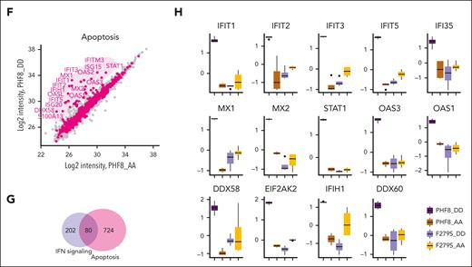Epigenetic activity of phosphorylated PHF8 triggers IFN-I response–mediated apoptosis. (A-H) Deep-proteome quantification analysis of the indicated samples; (A) PCA of all quantified proteins of the samples in the proteome data set (A-H, n = 4 biological replicates per group). (B) Unsupervised hierarchical clustering of differentially regulated proteins between the sample groups as heat map. The color code indicates z scored log 2 protein intensities of multiple sample t test (1-way ANOVA, permutation-based FDR <0.05, significant). (C) Significantly enriched GO terms and pathways. Enrichment analysis (Fisher exact test) of differentially regulated proteins in each of the sample groups. Regulated proteins were compared to the unchanged proteome in the data set based on the GO, KEGG, and keyword terms. (D) Network analysis of enriched pathways for proteins significantly upregulated in PHF8 DD cells. The size and color of nodes indicate number of proteins participating in each pathway. The network analysis was performed in Cytoscape version 3.9.1. (E) Scatterplot comparing the quantified log 2 protein intensities in PHF8 AA vs PHF8 DD cells (data obtained by fractionation proteome experiment, n = 8 fractions per sample). Purple dots indicate proteins participating in response to IFN-I (GO term). The marked protein names represent significant regulations (permutation-based FDR, 0.05). (F) Scatterplot comparing the quantified log 2 protein intensities in PHF8 AA vs PHF8 DD cells (data obtained by fractionation proteome experiment, n = 8 fractions per sample). Pink dots indicate proteins related with apoptotic pathways (GO term). The marked protein names represent significant regulations (permutation-based FDR, 0.05). (G) Venn diagram showing the number of shared proteins between pathways in response to IFN-I and apoptosis in PHF8 DD cells (GO term). (H) Box plot representation of selected significantly regulated proteins participating in response to cell-intrinsic immune response and IFN-I (n = 4 biological replicates per group).