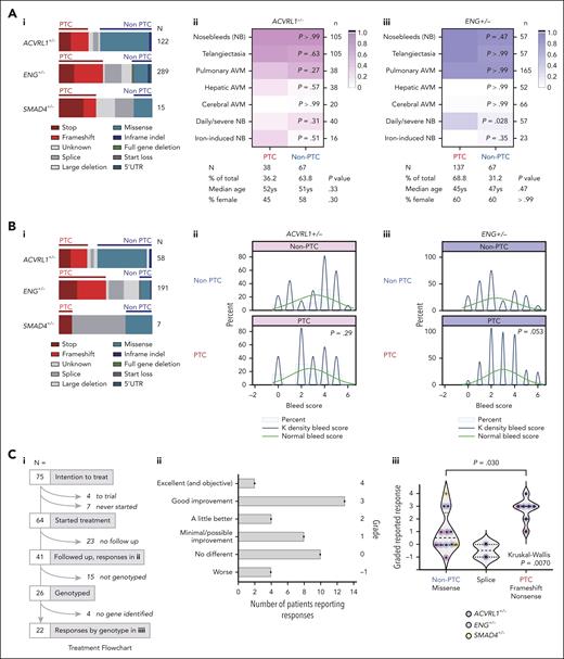 PTC clinical correlations in HHT cohorts. (A) Cohort 1 population first described by Joyce et al.37 (i) Molecular subtypes in the 3 endothelial-expressed HHT genes. Note splice variants and multiexon deletions do not enable PTC-generating consequences to be predicted38 and were not examined further. (ii/iii) HHT phenotypes in patients with (ii) ACVRL1+/− and (iii) ENG+/− according to PTC ∗(red) and non-PTC (blue) categories, with exact molecular subtype, color scheme as indicated. Note that throughout the figures, for consistency, ACVRL1+/− is pink/purple; ENG+/− is blue, and SMAD4+/− is orange. P values calculated by Mann-Whitney U test. (B) Cohort 2 population, first described with bleeding scores by Shovlin et al2 (see also supplemental Methods). (i) Molecular subtypes annotated as in panel Ai. (ii/iii) Histograms of bleeding scores with superimposed normal and Kernal cosine distributions, for patients with heterozygous (ii) ACVRL1 and (iii) ENG causal variants. PTC/non-PTC P values calculated by Mann-Whitney U test. (C) Cohort 3: newly described nosebleed ointment cohort (further details provided in supplemental Figure 1). (i) Flowchart of treatment numbers 09/04/1999 to 17/03/2005; patients reporting a response; and patients genotyped. (ii) All 41 reported responses by qualitative description and applied grade. (iii) All 22 reported responses in patients with a causal HHT gene variant identified, by variant type and causal gene (pink, ACVRL1; blue, ENG; and orange, SMAD4). Splice variants are shown separately because RNA consequences are unclear38 and differed when tested in different members of the same family (C. L. Shovlin, unpublished data, 2012). Pairwise P value calculated by Dunn's test after Kruskal-Wallis test. AVM, arteriovenous malformation; NB, nosebleed.