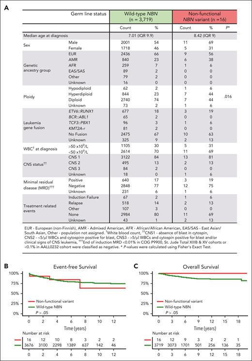 Association of NBN variants with clinical characteristics of B-ALL. (A) Characteristics of B-ALL in carriers of an experimentally validated nonfunctional germ line NBN variant (n = 16) were compared with those with WT NBN status (n = 3719) treated in COG P9900, AALL0232, St. Jude Total XIIIB and St. Jude Total XV clinical trials. (B) Event-free survival and (C) overall survival in carriers of an experimentally validated nonfunctional germ line NBN variant and patients with WT NBN status.