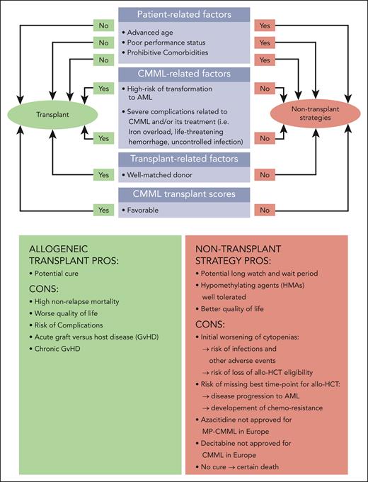 Patient selection for allo-HCT.