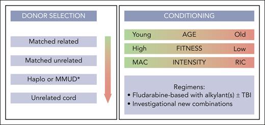 Transplant modalities. ∗According to center preference. MAC, myeloablative conditioning; MMUD, mismatched unrelated donor; RIC, reduced intensity conditioning; TBI, total body irradiation.