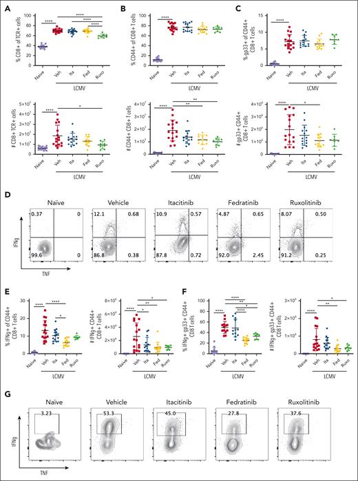 JAK1 inhibition is not sufficient to reduce CD8 T-cell number or capacity to produce IFN-γ. Proportions and numbers of total splenic CD8 T cells (A), CD44+ effector CD8 T cells (B), and gp33-specific CD8 T cells (C) in naïve mice or LCMV-infected Prf1−/− mice treated with vehicle, itacitinib (120 mg/kg), fedratinib (60 mg/kg), or ruxolitinib (90 mg/kg) from days 4 to 8 PI. Analysis was performed on day 9 PI. (D-E) Representative contour plots and summary data of cytokine producing CD44+ CD8 T cells (D-E) and gp33+ CD8 T cells (F-G) after in vitro restimulation with gp33 peptide. Data points represent single mice from 5 pooled experiments. ∗P < .05, ∗∗P < .01, or ∗∗∗∗P < .0001 by pairwise comparison.