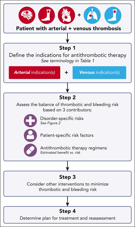 Structured approach to antithrombotic therapy selection in patients with venous and arterial thrombosis.