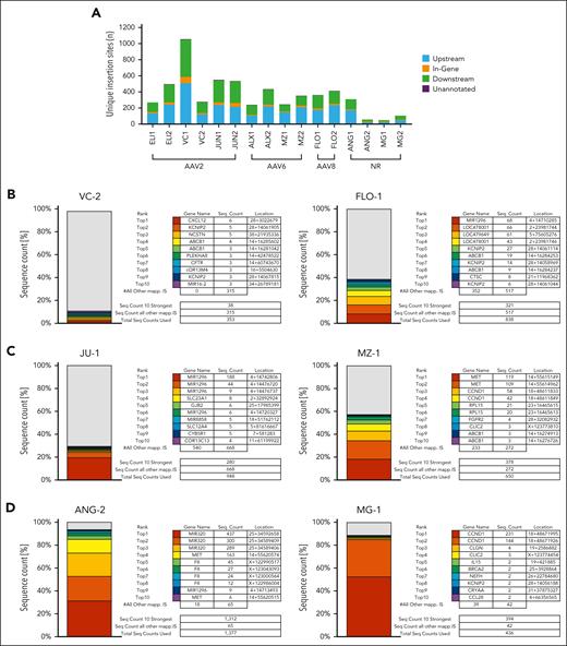 TES evaluation of IS. (A) Location of unique IS relative to annotated canine genes (canFam3) detected using TES. The majority (93.8%) of unique IS were located in intergenic regions. For in-gene insertions, 206 of 355 (58%) fell within an intron and 149 of 355 (42%) in an exon. Upstream insertions are defined as intergenic regions 5′ of the closest gene, and downstream insertions are 3′ of the closest gene. In-gene insertions are defined as those located within the transcriptional unit. (B-D) Cumulative sequence counts of the top-10 IS were identified. (B) Most (10/16) samples exhibited integration profiles in which the top IS demonstrated frequencies <10% of the total sequences. Representative examples include VC-2 and FLO-1. (C) 4 of 16 samples had at least 1 IS with a frequency of >10% and <30% of the total IS sequence count. Representative examples include JU-1 and MZ-1. (D) 2 of 16 samples had at least 1 IS with a frequency of >30%. Both of these samples were obtained from nonresponding dogs (ANG-2 and MG-1). Refer to supplemental Figure 4 for top-10 IS data for all 16 samples analyzed. NR, nonresponder.
