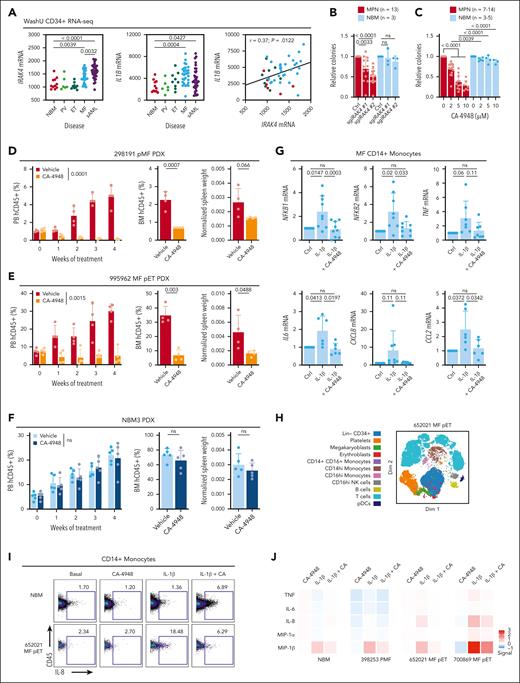 Inhibition of IRAK4 with inhibitor CA-4948 alleviates disease burden. (A) IRAK4 and IL1B messenger RNA expression from the WashU cohort CD34+ RNA sequencing encompassing 90 primary samples representative of PV (n = 6), ET (n = 9), MF (n = 30), secondary AML (sAML, n = 34), and NBM (n = 11). Statistics assessed by 2-tailed Student t test. Pearson correlation noted. (B) Relative colony numbers after IRAK4 knockout from additional unique patients with MPN (n = 13) and NBM donors (n = 3). Statistics were assessed by 2-tailed Student t test comparing MPN and NBM after taking an average of each 3 biological replicates per sample. (C) Relative colony numbers after CA-4948 treatment from unique patients with MPN (n = 7-14 across various doses) and NBM donors (n = 3-5). Statistics were assessed by 2-tailed Student t test comparing MPN and NBM after taking an average of each 3 biological replicates per sample. (D-F) Leukemic engraftment in the PB, BM at end point, and normalized spleen weights in the (D) 298191 pMF (n = 4 mice per group), (E) 995962 MF pET (n = 4 mice per group), and (F) NBM3 (n = 5 mice per group) PDX models. PB human CD45+ (hCD45+) cells statistics assessed by 2-way ANOVA. BM hCD45+ and normalized spleen weight statistics assessed by 2-tailed Student t test. (G) qRT-PCR of genes of interest after 6 hours IL-1β (10 ng/mL) and CA-4948 (2 μM) treatment ex vivo in unique CD14+ MF monocytes (n = 6-9 patients). (H) Dimensionality plot of cell populations from 652021 MF pET from CyTOF analysis. (I) CD14+ monocyte IL-8 expression after ex vivo treatment with IL-1β (10 ng/mL) treatment and CA-4948 (2 μM) by CyTOF analysis. (J) Expression heat map of proinflammatory effectors in CD14+ monocytes in additional MPN and NBM samples. Median arcsinh signals are presented and were normalize to the control treatment group.