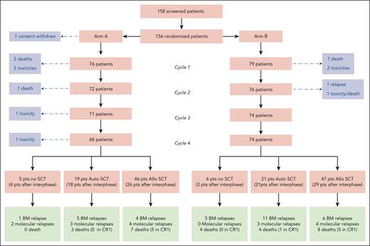 Study flowchart.