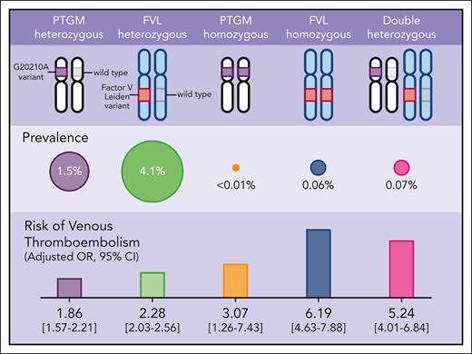 Genotypic prevalence and the risk for VTE across FVL, PTGM, and DH genotypes.