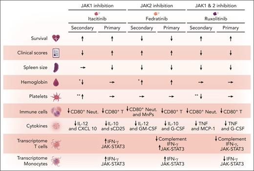 Effects of JAK inhibition in HLH mouse models. The figure illustrates the impact of JAK inhibition in both primary and secondary HLH mouse models compared with controls. The primary model uses perforin-deficient−/− mice challenged by lymphocytic choriomeningitis virus, whereas the secondary model is induced by CpG+ IL-10 receptor-blocking antibody. Key observations include changes in various immune cell populations and cytokine levels. G-CSF, granulocyte colony-stimulating factor; GM-CSF, granulocyte-macrophage colony-stimulating factor; IL, interleukin; MnPs, mononuclear phagocytes (Ly6C+ of CD11b+ cells); Neut, CD80+ neutrophils; sCD25, soluble CD25. ∗Difference between itacitinib and fedratinib treatments. ∗∗Difference between itacitinib and ruxolitinib treatments.