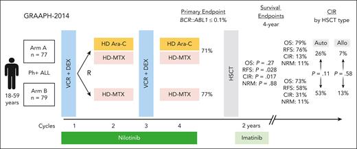 GRAAPH-2014 trial schema. DEX, dexamethasone; HD Ara-C, high-dose cytarabine; HD MTX, high-dose methotrexate; NRM, nonrelapse mortality; OS, overall survival; RFS, relapse-free survival; VCR, vincristine.