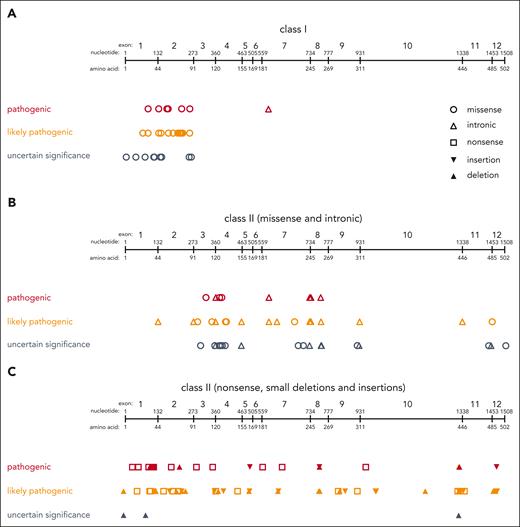 Classification of WAS variants. Distribution of class I variants (A) and class II variants (B-C) across the WAS gene. Variants are displayed as classified according to ACMG criteria as either “pathogenic” (red), “likely pathogenic” (orange), or “uncertain significance (VUS)” (gray). Variants classified as “likely benign” or “benign” are not shown.