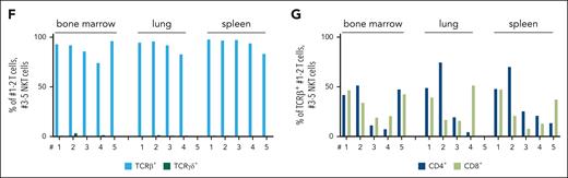 Leukemic N642Hvav/+ T/NKT cells expand upon transplantation. Splenic cells (Ly5.2+) from either aged control or diseased N642Hvav/+ mice were IV injected into NSG mice and analyzed. (A) Survival analysis (n ≥ 4 per genotype). (B) Quantification of GFP levels among transplanted Ly5.2+ cells in BM, spleen, and lung of NSG mice injected with control or N642Hvav/+ cells (n ≥ 3 per genotype; mean ± standard deviation). (C) Quantification of the leukemia type developed in the NSG recipients with N642Hvav/+ transplantation. (D) Relative quantification (percentages out of injected Ly5.2+ N642Hvav/+ cells) of N642Hvav/+ myeloid cells (CD11b+Gr1+), B cells (CD19+), T cells (CD3+NK1.1–), NKT cells (CD3+NK1.1+), and NK cells (CD3–NK1.1+) in BM, lung, and spleen of 4 to 5 of the diseased NSG mice with N642Hvav/+transplantation. (E) Representative FACS plots of TCRβ and TCRγδ gating starting from Ly5.2+ T cells (CD3+NK1.1–) or NKT cells (CD3+NK1.1+) in BM of NSG mice with N642Hvav/+ transplantation. (F) Relative quantification of TCRβ or TCRγδ expression on transplanted Ly5.2+ N642Hvav/+ T cells (CD3+NK1.1–) or NKT cells (CD3+NK1.1+) (n ≥ 4). (G) Relative quantification of CD4 or CD8 expression on transplanted Ly5.2+TCRβ+CD3+NK1.1– or Ly5.2+ TCRβ+CD3+NK1.1+ N642Hvav/+ cells (n ≥ 4). Levels of significance were calculated using the Mantel-Cox test (A) or the Mann-Whitney test (B). ∗P < .05; ∗∗P < .01. FACS, fluorescence-activated cell sorting.