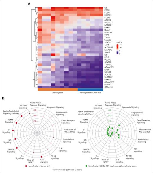 CORM-401 prevents hemolysate-induced up-regulation of proinflammatory pathways in endothelial cells. HUVECs cultured in a flow system were pre-treated or not with 100 μM CORM-401 for 1 hour before being exposed to either serum only, hemolysate alone, or hemolysate plus 100 μM CORM-401 (recapitulated in Table 2). The infusion flow rate was adjusted to reach a shear stress of 1 dyne·cm−2. Cells in indicated conditions were harvested and gene expression profiles were analyzed by messenger RNA sequencing, as described in supplemental Data (Table 2). (A) Heat maps of normalized read counts of differentially expressed genes in endothelial cells exposed to hemolysate alone compared with hemolysate plus CORM-401 treatment (only those having fold change >1.5 or less than −1.5, and FDR P value < .05 are represented). (B) Main canonical pathways (z score) in hemolysate- vs serum-treated HUVECs (red dots) and in cells exposed to hemolysate plus CORM-401 treatment vs hemolysate alone (green dots). Large red dots: z score > 2, large green dots: z score less than −2: considered significant to predict upregulation or downregulation pathway, respectively.