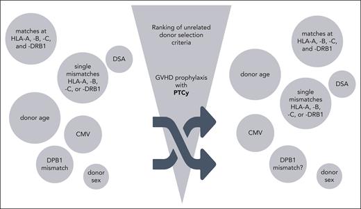 This figure visualizes possible shuffling of unrelated donor selection criteria by posttransplant cyclophosphamide (PTCy)–based GVHD prophylaxis. The current evidence is not yet robust enough for PTCy-specific recommendations. CMV, cytomegalovirus; DSA, donor-specific antibodies.