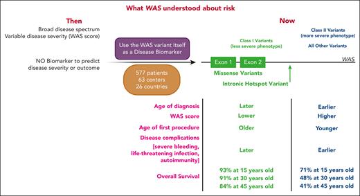 Schematic representation of WAS disease risk prior to vs after Vallée et al. (Left) Depiction of what was known about WAS disease risk prior to the current publication. WAS comprised a broad spectrum of disease states, and disease severity was estimated using the WAS score. There were no biomarkers to predict disease severity or outcome. (Middle) In this publication, the authors used WAS variants themselves as disease biomarkers, defining class I vs class II variants based on a large cohort of 577 patients with WAS-consistent phenotypes from 63 centers in 26 countries. (Right) Class I variants (green) were comprised of missense variants in exons 1 or 2, or the hot spot intronic variant c.559+5G>A. Individuals with these variants had a less severe phenotype, characterized by later age of diagnosis, lower WAS score, older age of first procedure, later onset of disease complications, and better overall survival compared with all other variants, which were grouped as class II. Created with BioRender.com.