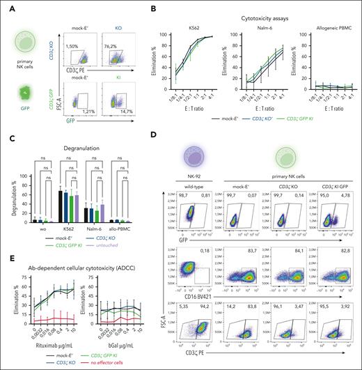 CD3ζ-disuption does not impede canonical NK cell functions in vitro. (A) CD3ζ editing outcomes assessed by flow cytometry. (B) Cytotoxicity of primary CD3ζ disrupted NK cells in simple 16 hours coculture assay with K562 cells, Nalm-6 cells or allogeneic PBMC (n = 3 biological replicates). (C) Degranulation of primary CD3ζ disrupted NK cells assessed by flow cytometry (n = 3 biological replicates; two-way ANOVA followed by Dunnett’s multiple comparison test with a single pooled variance). (D) Expression of CD16 and CD3ζ in wild-type NK-92 cells and primary NK cells after CD3ζ-disruption. (E) ADCC of primary CD3ζ-disrupted NK cells against CD20+ bGal− Jeko-1 cells at different concentrations of antibodies specific for CD20 (rituximab) or bGal (n = 3 biological replicates, each in 3 technical replicates).