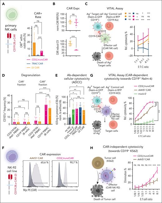 CD3ζ-editing enables redirection of NK cells with CARs and does not impede canonical NK cell functions in vitro. CAR editing in primary NK cells via LV CAR transfer, TRAC-CAR or CD3ζ-truncCAR-integration: (A) CAR+ frequencies after editing (n = 6 biological replicates, mixed-effects analysis with Geisser-Greenhouse correction followed by Tukey’s multiple comparison test with individual variances computed for each comparison). (B) mean CAR expression (MFI) normalized to CD3ζ-truncCAR integrated NK cells and robust coefficient of variation in CAR+ cells (n = 6 biological replicates; t test). (C) CAR-dependent cytotoxicity detected in a VITAL assay (data normalized to mock-electroporated (wildtype) NK cells; n = 6 biological replicates each in 3-4 technical replicates; 2-way ANOVA followed by Tukey’s multiple comparison test with a single pooled variance). (D) Degranulation as indicator of NK effector function via flow cytometric detection of CD107a (n = 6 biological replicates; two-way ANOVA followed by Holm-Šídák multiple comparison test with a single pooled variance). (E) ADCC of primary (CAR) NK cells against CD20+ bGal− Jeko-1 cells. Bars represent killing for each condition in the presence of a CD20-targeting monoclonal antibody (0.5 μg/mL) normalized to the respective condition without supplemented antibody (n = 5 biological replicates; mixed-effects analysis with Geisser-Greenhouse correction followed by Tukey’s multiple comparison test with individual variances computed for each comparison). (F-H) CD19-CAR (2) transfer to NK-92 cells via AAVS1 integration of a CMV promotor-controlled, full-length CAR or CD3ζ integration of a truncCAR. CAR+ fractions were enriched using MACS. (F) CAR expression in flow cytometry histograms. (G) CAR-dependent cytotoxicity in a 4-hour VITAL-assay (n = 6 technical replicates; two-way ANOVA with Tukey’s multiple comparison test with a single pooled variance. (H) CAR-independent cytotoxicity towards the MHC I deficient, CD19− K562 (control) cell line (n = 15 technical replicates; two-way ANOVA followed by Holm-Šídák multiple comparison test with a single pooled variance).