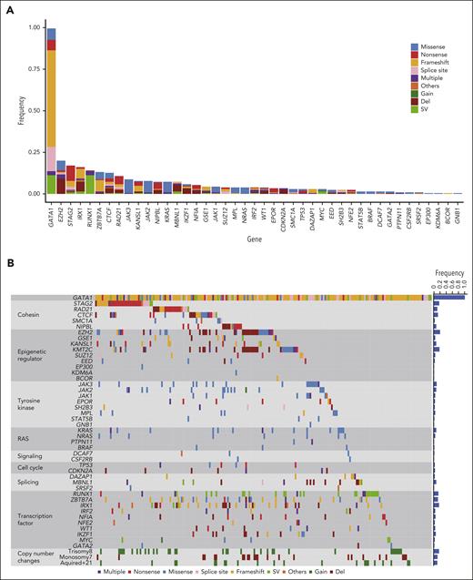 Driver mutations in ML-DS. (A) Frequency and type of driver mutations in 204 ML-DS samples, which were identified by targeted deep sequencing. (B) Landscape of somatic mutations in 204 ML-DS samples. The types of mutations are distinguished by the indicated colors. Del, deletion; Multiple, multiple mutations.