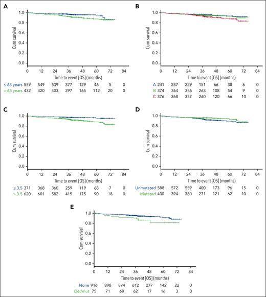 OS in patients treated with targeted drugs by CLL-IPI risk factors. OS according to age (A), Binet stage (B), levels of serum β2-microglobulin (C), IGHV mutational status (D), and TP53 status (E).