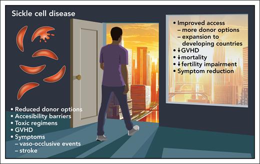 The result of 95.7% 1-year survival in a large, multicenter, international phase 2 trial of a nonmyeloablative haploidentical bone marrow transplant (BMT) with posttransplant cyclophosphamide for GVHD prophylaxis for pediatric and adult patients with sickle cell disease has opened a new door of opportunity for curative therapy. The approach uses a less expensive and labor-intensive approach that expands its availability to countries outside of well-resourced areas of the world. Professional illustration by Patrick Lane, ScEYEnce Studios.