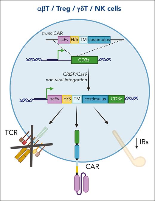 CD3ζ-editing strategy. A CAR missing the activation domain (truncCAR) is integrated in the CD3ζ locus through CRISPR/Cas-9 nonviral technology to obtain a fully functional CAR construct. The proposed strategy brings the CAR under the transcriptional regulation of the CD3ζ promoter, reducing the expression of inhibitory receptors, and ablates the expression of the endogenous TCR. This approach can be applied to all T-cell subsets and NK cells. αβT, T-cell receptor-αβ T lymphocytes; CAR, chimeric antigen receptor; H/S, hinge/spacer sequences; scFv, single-chain fragment variable; TCR, T-cell receptor; TM, transmembrane domain; Treg, regulatory T lymphocytes; γδT, TCRγδ T lymphocytes; NK, natural killer.