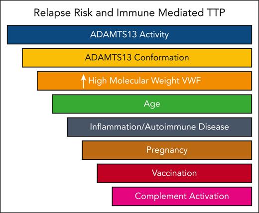 Immune-mediated TTP relapse risk and the interaction of multiple variables. Figure courtesy of J. S. Cataland.