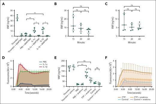 IL-1α and -1β induce endothelial degranulation and contribute to WVF exocytosis in TTP. (A) VWF concentrations in cell supernatants after stimulations with IL-1α (10 ng/mL), IL-1β (10 ng/mL), and PBS with/without MAPTAM (1 μmol/L). Thrombin (4 IU/mL) is used as positive control. IL-1α: 10.7 (8.5-15.5) ng/mL; IL-1β: 10.7 (6.6-16.3) ng/mL; PBS: 4.8 (1.6-5.6) ng/mL; IL-1α + MAPTAM: 1.2 (0.97-1.4) ng/mL; IL-1β + MAPTAM: 0.7 (0.23-1.2) ng/mL. (B) VWF concentrations in cell supernatants after stimulations with IL-1α (10 ng/mL), or (C) IL-1β (10 ng/mL) for 15, 30, and 60 minutes. (D) Calcium flux after stimulation with IL-1α (10 ng/mL), IL-1β (10 ng/mL), and PBS over 20 seconds. AUC of IL-1α: 62.2 (95% CI, 60.7-63.7) × 1010 AU; IL-1β: 64.5 (95% CI, 63.3-65.7) × 1010 AU; and PBS: 8.0 (95% CI, 7.9-8.2) × 1010 AU. (E) VWF concentrations in cell supernatants after stimulations with TTP plasma (1%, n = 6), control plasma (1%, n = 6), and PBS, with/without anakinra (10 μg/L). TTP: 105.0 (95.0-140.5) ng/mL; and TTP + anakinra: 65.0 (53.5-84.5) ng/mL. (F) Calcium flux after stimulations with TTP plasma (1%), control plasma (1%), and PBS, with/without anakinra (10 μg/L) over 20 seconds. AUC of TTP: 13.6 (95% CI, 12.9-14.2) × 1010 AU; TTP + anakinra: 5.9 (95% CI, 5.8-6.1) × 1010 AU; control 3.4 (95% CI, 3.3-3.6) × 1010 AU; and control + anakinra: 1.4 (95% CI, 1.3-1.4) × 1010 AU (ns: P > .05; ∗P < .05 and ∗∗P < .01). AU, arbitrary unit; AUC, area under the curve; CI, confidence interval.