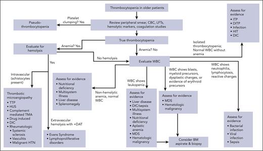 Diagnostic strategy for geriatric patients with thrombocytopenia. Initial evaluation requires laboratory studies, including review of peripheral blood smear to exclude platelet clumping. After true thrombocytopenia is established, further assess for concurrent hemolytic anemia and white blood cell disorders to narrow differential diagnosis and alert clinicians to diagnoses that may warrant urgent action, such as TMA or suspicion for infection. When diagnosis is suspicious for hematologic malignancy or aplastic anemia, bone marrow aspiration and biopsy should be considered to establish diagnosis. BM, bone marrow; DIC, disseminated intravascular coagulation; LFT, liver function tests; HTN, hypertension; HUS, hemolytic uremic syndrome; TTP, thrombotic thrombocytopenic purpura.