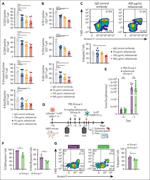Pretreating JeKo-1 xenograft mice with tafasitamab reduces early activation and apoptosis of CART19. (A) CD19+ JeKo-1 were cocultured with CART19 in the presence of different concentrations of tafasitamab (10-400 μg/mL) or IgG isotype for 24 hours, and CD25, CD69, granzyme B, and HLA-DR were assessed by flow cytometry (mean ± SEM, ∗P < .05, ∗∗P < .01, ∗∗∗P < .001, ∗∗∗∗P < .0001, 1-way ANOVA; n = 3, 2 replicates). (B) JeKo-1 were cocultured with CART19 in the presence of different concentrations of tafasitamab (10-400 μg/mL) or isotype IgG control for 24 hours. The expression of PD-1, CTLA-4, and LAG-3 in CD3+ T cells was analyzed by flow cytometry (mean ± SEM, ∗P < .05, ∗∗∗P < .001, ∗∗∗∗P < .0001, 1-way ANOVA; n = 3, 2 replicates). (C) JeKo-1 were cocultured with CART19 in the presence of different concentrations of tafasitamab (10-400 μg/mL) or IgG isotype control for 1 hour. Apoptotic T cells were analyzed by flow cytometry. Apoptotic T cells were defined as CD3+ annexin V+ 7-AAD−. (∗P < .05, 1-way ANOVA; n = 3, 2 replicates). (D-E) Experimental schema and BLI analysis. NSG mice were inoculated with luciferase+ JeKo-1 on day −14, and tumor burden was assessed using BLI on day −6. Mice were randomized according to their tumor burden to receive PBS vehicle control (IP, 7 mice, group 1) or 10 mg/kg per day of tafasitamab (IP, 8 mice, group 2). On day 0, all mice received 1.0 × 106 CART19; 24 hours after CART19 cell infusion, 3 mice from each group were euthanized, and the spleens were harvested. There were no significant differences in tumor burden on days −8 or −1 in either group (mean ± SEM, t test). (F) Flow cytometric analysis of CD69 and HLA-DR in human CD3+ T cells in splenocytes. Human CD3+ T cells were determined using murine CD45−, human CD45+, and human CD3+ (mean ± SEM, ∗P < .05, t test; n = 3 per group). (G) Flow cytometric analysis of apoptotic CD3+ T cells in the splenocytes. Apoptotic T cells were defined as CD3+ annexin V+ 7-AAD− (mean ± SEM, ∗P < .05, t test; n = 3 per group).