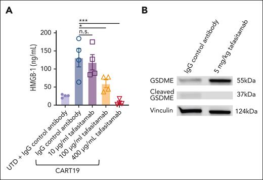 Transient CD19 masking with tafasitamab decreases tumor cell pyroptosis. (A) In vitro high-mobility group box 1 (HMGB-1) assay. CART19, CD19+JeKo-1, and increasing doses of tafasitamab (10-400 μg/mL) or the isotype control were cultured for 24 hours. Cells were processed with the Lumit HMGB1 immunoassay kit (mean ± SEM, ∗P < .05, ∗∗∗P < .001, 1-way ANOVA; n = 2, 2 replicates). (B) Western blot of tumor cells on day 1. Satellite mice were euthanized and their spleens were harvested. Tumor cells were then isolated with CD20 micro beads from splenic cells. The expression of GSDME was determined using western blot (n = 3 per group).