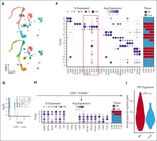 Ex vivo profiling of MKs by flow cytometry and scRNA-seq demonstrates that the bone marrow is the leading site of megakaryopoiesis in mice. (A) Representative dot plots of HSPCs, MKPs, and MKs. (B) Absolute LT-HSC cell counts across tissues. (C) Absolute counts of MKPs across tissues. (D) Absolute counts of MKs across tissues. Blue, fetal liver; red, bone marrow; green, spleen; and light blue, lung. Bone marrow, spleen, and lung (n = 5 animals) and fetal liver (n = 3 animals). Data are shown as mean ± standard error of the mean. Statistics were performed with 1-way analysis of variance with Tukey multiple comparisons test at 95% confidence interval (CI). (E) Uniform manifold approximation and projection (UMAP) projection of scRNA-seq data sets of murine lung and bone marrow CD41+ cells (Yeung et al6). Plots are colored based on the sampling tissue (top) or cluster identity (bottom). (F) Bubble plot showing expression of common murine hematopoiesis markers across clusters. The red box highlights canonical MK markers. (G) Scatterplot showing gating strategy used to select CD41+CD42+ cells based on RNA expression. (H) Bubble plot showing MK and immune-related markers expression on CD41+CD42+ cells across clusters. (I) Average expression of genes from a proplatelet formation (PPF) signature on CD41+CD42+ cells.