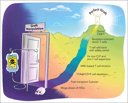 Paving the way to the perfect graft. Scheme of different strategies that have been implemented or are being explored to optimize graft composition and improve outcomes after HLA-haploidentical allogeneic hematopoietic stem cell transplantation (HSCT). CLP, common lymphoid progenitor cell; HSC, hematopoietic stem cell. Professional illustration by Patrick Lane, ScEYEnce Studios.