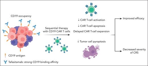 Schematic representation of the effects of CD19 occupancy after sequential treatment with tafasitamab and CD19 CAR T cells in preclinical models.