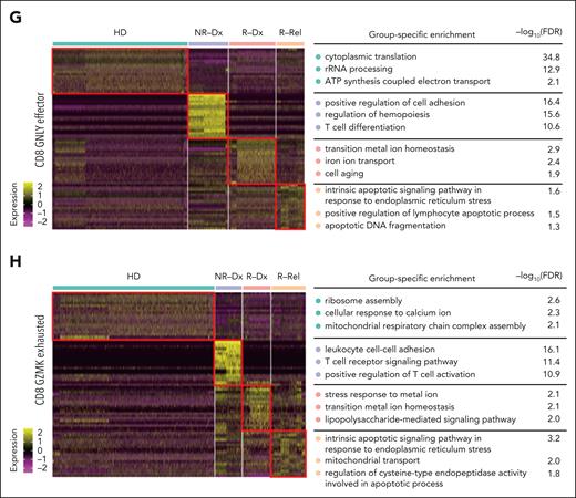 Single-cell characteristics of leukemia-infiltrating nonleukemic T lymphocytes in T-ALL. (A) UMAP plot showing 11 distinct clusters of nonleukemic T cells combining CD7+ BMMCs from 5 relapsed T-ALL patients at diagnosis (R-Dx-T) or relapse (R-Rel-T), 3 patients with nonrelapsed T-ALL, at diagnosis (NR-Dx-T), and CD3+ BMMCs from 2 HDs (HD-T). (B) Heat map hierarchically displays top 5 gene signatures featuring each of the 11 subclusters of nonleukemic T cells in panel A. (C) Bar plot comparing the proportion of each subcluster across 4 groups: R-Dx-T, R-Rel-T, NR-Dx-T, and HD-T. Wilcoxon rank sum test is used for statistical analysis; ∗P < .05. (D) UMAP plot of nonleukemic T-cell identities colored according to TCR clonal abundance of the 15 T-ALL samples and HDs. The gray color indicates a lack of TCR. (E-F) Stacked bar plots depicting frequency of the 3 TCR clonality categories across the 4 groups: R-Dx-T, R-Rel-T, NR-Dx-T, and HD-T for all the nonleukemic T cells (E), and for each of the 11 functional T subclusters, respectively (F). The 3 TCR clonal expansion groups were denoted with colors: in which category “>10” in blue indicates that there were at least 10 cells that express the identical TCR clonotype; category “5-10” in purple indicating that 5 to 10 T cells express an identical TCR clonotype; and category “1-5” in salmon indicates that only 1 to 5 cells express a specific TCR clonotype. (G-H) Heat maps hierarchically display the top 20 group-specific genes and pathways that are enriched in CD8_GNLY_effector T subcluster (G) or CD8_GZMK_exhausted T subcluster (H) across the 4 patient groups (R-Dx-T, R-Rel-T, NR-Dx-T, and HD-T) by gene set enrichment analysis (GSEA). FDR, false discovery rate.