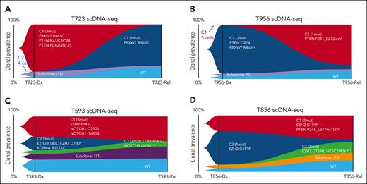 scDNA-seq characterization of distinct clonal evolution patterns in Dx_Rel T-ALL pairs from diagnosis to relapse. (A-D) Fish plots showing dynamic clonal prevalence over time of the 4 patients, T723 (A), T956 (B), T593 (C), and T856 (D), each with a distinct pattern of clonal progression from diagnosis to relapse, with annotations for the genomic alterations in each clone. The left-most clonal composition in each plot represents a snapshot of founder clonal architecture at diagnosis, rather than the parental clones from which all leukemic cells were derived.