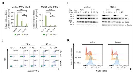 Determination of featured signatures in clonal drift based on Dx_Rel pairwise analysis of transcriptomic dynamics within a persistent TCR clone. (A) Stacked bar plots comparing cell cycling composition dynamics in persisted Dx-Rel major TCR clonotypes (M clones) from T593 and T856 Dx_Rel paired samples. Clonotypes are derived and ordered according to scTCR clonotyping. (B) Venn diagram showing intersection of commonly upregulated mRNA counts at relapse from drifted TCR M clones across T856 (T856Rel-M, blue) and T593 (T593Rel-M, orange). (C) Heat map showing hierarchy of the topmost significantly differently expressed genes (adjusted P < .05, average log2FC > 1) in drifted TCR clonotypes obtained by FindAllMarkers. Relative gene-expression levels are normalized and visualized by color intensity. Detailed information is provided in supplemental Table 8. (D) Bar plot displaying chromatin immunoprecipitation (ChIP) and qPCR analyses of trimethylation of histone H3 lysine 4 (H3K4me3; left panel) and acetylation of histone H3 lysine 27 (H3K27ac; right panel) levels on endogenous MSI2 transcriptional start site (TSS) for T593 and T856 from diagnosis to relapse. Data is presented after normalizing to nonspecific binding control as fold enrichment of immunoprecipitated DNA relative to input DNA. Data are presented as mean values ± standard error of the mean (SEM). P values were estimated using the 2-tailed Student t test; ∗P < .05; ∗∗P < .01; and ∗∗∗P < .001. (E) MSI2 RNA immunoprecipitation and high-throughput mRNA sequencing tracks surrounding the MYC locus of T-ALL cell lines, Molt4 (blue), Jurkat (orange), and CEM (green), with data shown as fold enrichment over input. Pink area indicates MSI2-binding region on MYC mRNA. Number of replicates: Molt4 MSI2, n = 2; Jurkat MSI2, n = 2; and CEM MSI2, n = 2. (F) MYC mRNA half-lives (t1/2) evaluation in T-ALL cell lines, Jurkat and Molt4, after treating with MSI2 RNA-binding inhibitor Ro at the final concentration of 20 μM in presence or absence of actinomycin D (ActD), in comparison with those in ActD-treated T-ALL cell lines. (G) Western blot assay validation of MYC expression in MSI2-knockout (MSI2KO) T-ALL cell lines, Jurkat and Molt4. sgRNAs MSI2-sg1, MSI2-sg2 and MSI2-sg3 were used in CRISPR–associated protein 9 (Cas9)-expressed parental cells in the 2-vector CRISPR/Cas9 system. Experiments were performed in triplicate. Representative chemiluminescence images are shown. (H) MSI2 RNA immunoprecipitation and MYC quantitative PCR of reverse-transcribed complementary DNA (cDNA) after treatment of T-ALL cell lines, Jurkat and Molt4, with 10 μM of Ro for 6 and 12 hours compared with the no-treatment vehicle subgroup. Data are presented as mean values ± SEM. P values were estimated using the 2-tailed Student t test; ∗P < .05; ∗∗P < .01; ∗∗∗P < .001; and ∗∗∗∗P < .0001. (I) Western blot assay examination of MYC and cleaved-PARP protein levels after treatment of T-ALL cell lines, Jurkat and Molt4, with 5, 10, or 20 μM Ro for 12 and 24 hours compared with the no-treatment vehicle subgroup. Experiments were performed in triplicate. Representative chemiluminescence images are shown. (J) Comparison of apoptosis in T-ALL cell lines, Jurkat, and Molt4, after treatment with Ro (5 or 10 μM) for 24 and 48 hours compared with the no-treatment vehicle subgroup by annexin V and DAPI staining. Experiments were performed in triplicate. Data are presented as mean values ± SEM. Representative scatterplots are shown. (K) DNA damage assessment by phosphorylated H2AX (γH2AX) staining of T-ALL cell lines, Jurkat and Molt4, after treatment with Ro (5 or 10 μM) for 12 hours compared with the no-treatment vehicle subgroup. Experiments were performed in triplicate. Representative overlaid histograms are shown.
