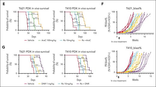 Functional roles of MSI2 levels in overcoming chemotherapy resistance of T-ALL. (A) Dose-response matrix (inhibition) of T-ALL cell lines, Jurkat and Molt4, exhibiting in vitro viability profiling after combination treatment with titrated DNR (left panel)/AraC (right panel) and Ro for 72 hours. Experiments were performed in triplicate. Representative dose-response matrixes are shown. Data are presented as mean values ± SEM. (B) Two dimensional synergy map visualization of 2-drug combinational score distribution in T-ALL cell lines, Jurkat and Molt4, based on in vitro dose-response viability profiling after combination treatment with titrated DNR (left panel)/AraC (right panel) and Ro for 72 hours. The synergy score was calculated in reference to highest single-agent (HSA) model. Experiments were performed in triplicate. Representative synergy maps are shown. (C) Distribution of area under curve by dose-response curves of chemotherapeutic drugs from 18 biologically independent primary T-ALL samples are shown in boxplots comparing samples with higher MSI2 mRNA expression (MSI2high, FPKM ≥20.5, n = 9) and those with lower MSI2 mRNA expressions (MSI2low, FPKM <20.5, n = 9). P values were estimated using Mann-Whitney U test; ∗P < .05; ∗∗P < .01; and ∗∗∗P < .001; ns, no significance. (D) Leukemia burden in each subgroup of vehicle (red), Ro (blue), AraC (green), and Ro + AraC (orange) from 2 T-ALL PDX models were tracked weekly as percentage of human cytometric CD45+CD7+ cells in all mononuclear cells in peripheral blood (PB) after red blood cell lysis. (E) Leukemia-free survival estimated for each subgroup of vehicle (red), Ro (blue), AraC (green), and Ro + AraC (orange) from T-ALL PDX models. P values were estimated using Cox regression model. Each treatment group included 6 mice. ∗P < .05; ∗∗P < .01; and ∗∗∗P < .001. (F) Leukemia burden in each subgroup of vehicle (red), Ro (blue), DNR (yellow), and Ro + AraC (purple) from 2 T-ALL PDX models were tracked weekly as percentage of human cytometric CD45+CD7+ cells in all mononuclear cells in the PB after red blood cell lysis. (G) Leukemia-free survival estimated for each subgroup of vehicle (red), Ro (blue), DNR (yellow), and Ro + AraC (purple) from T-ALL PDX models. P values were estimated using Cox regression model. Each treatment group included 6 mice; ∗P < .05; ∗∗P < .01; and ∗∗∗P < .001.